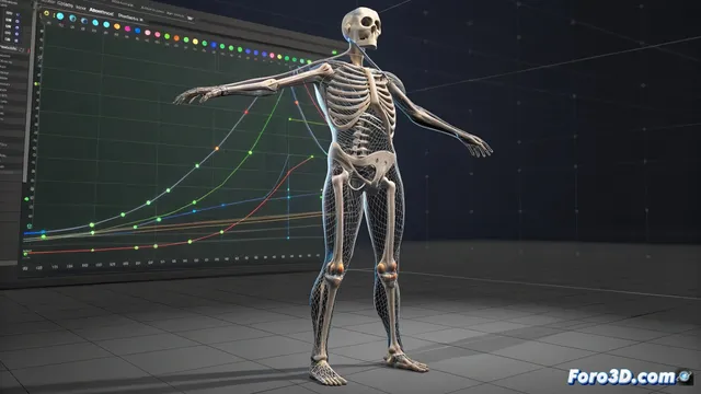 Cómo animar un modelo en blender: métodos y flujo de trabajo