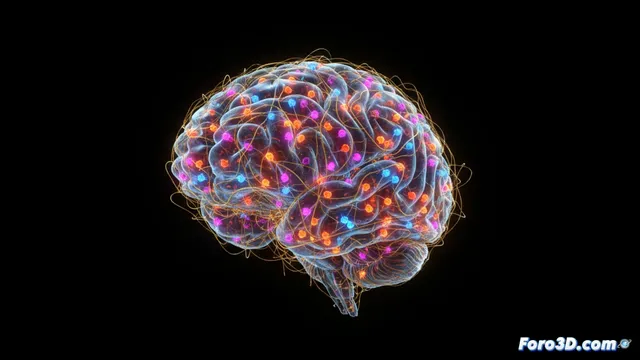 El plano de cableado neuronal completo de una larva de mosca