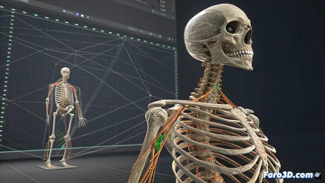 Recomponer una cadena de huesos en 3ds Max