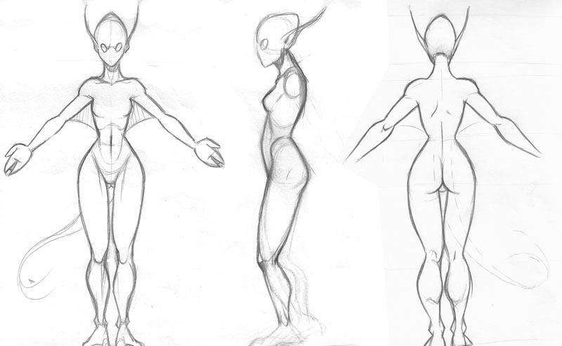 Blueprints Of Characters