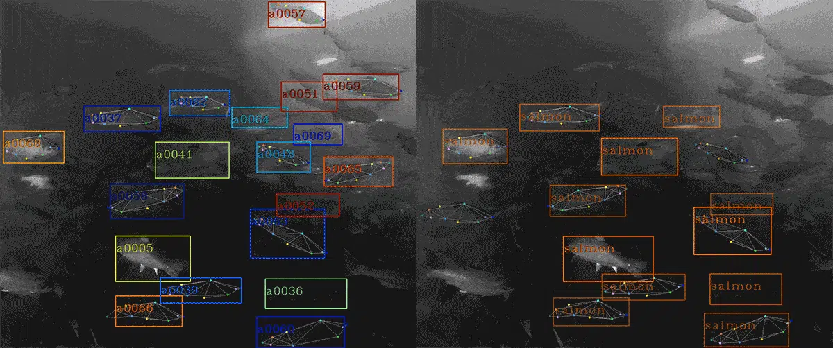 Granja acuícola futurista con dispositivos de monitoreo submarino, pantallas holográficas mostrando modelos 3D de peces y datos en tiempo real, en un entorno tecnológico azulado.