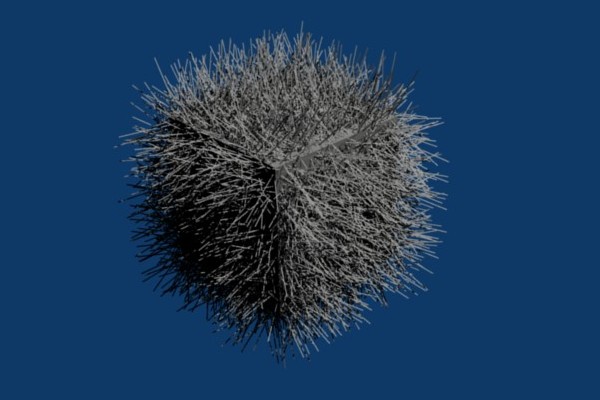 Tutorial playing with hair in Blender-tutorial-playing-with-hair-in-blender-2.jpg