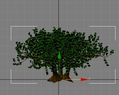arbol -5.jpg