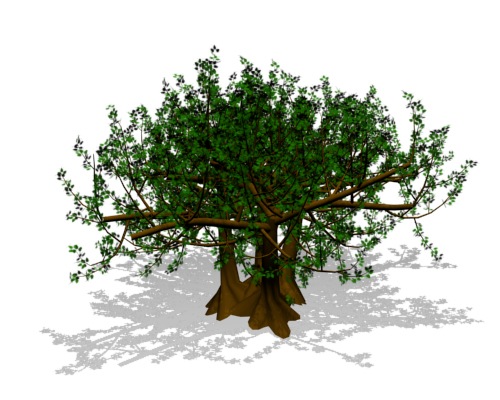 arbol -7.jpg