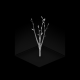 Avatar de Isometree