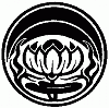 Avatar de laflordeloto27