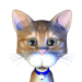 Avatar de 3dart